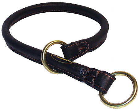 Customized dog collars