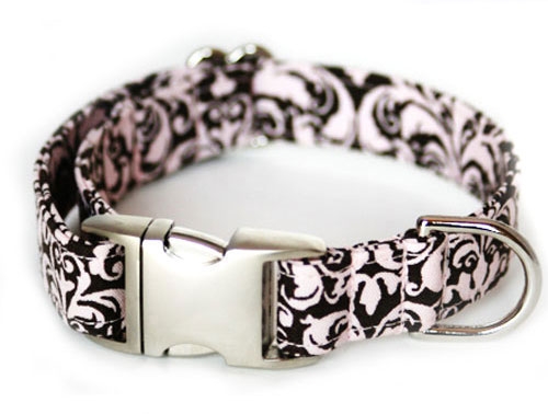 Designer dog collars