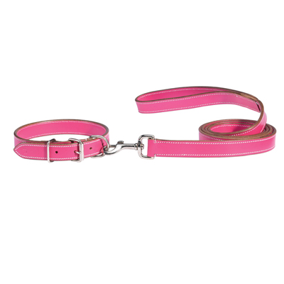 Dog collars and leashes