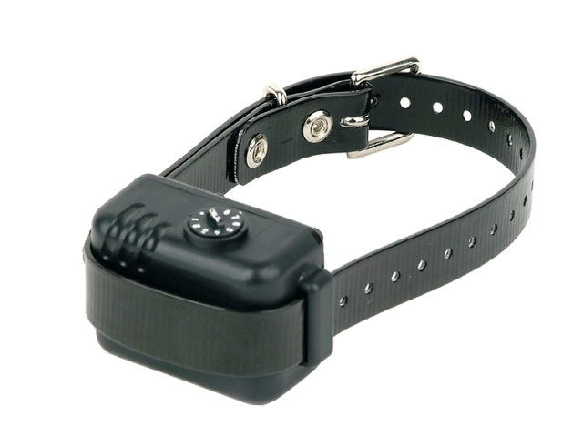 Dog shock collars