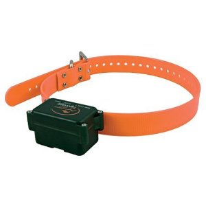 Electric dog collars