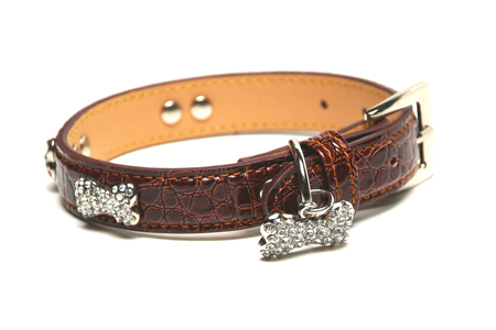 Leather dog collars