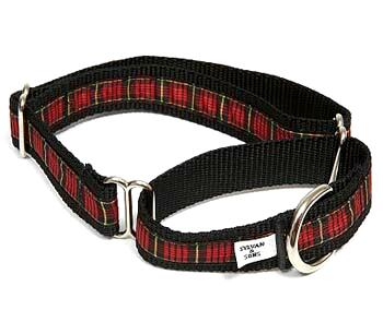 Martingale dog collars