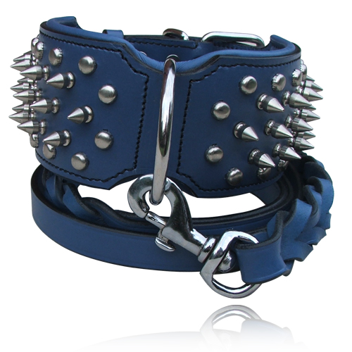 Spiked dog collars
