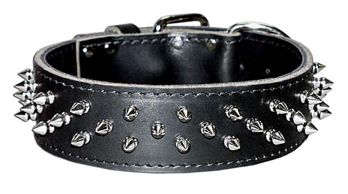 Spiked dog collars