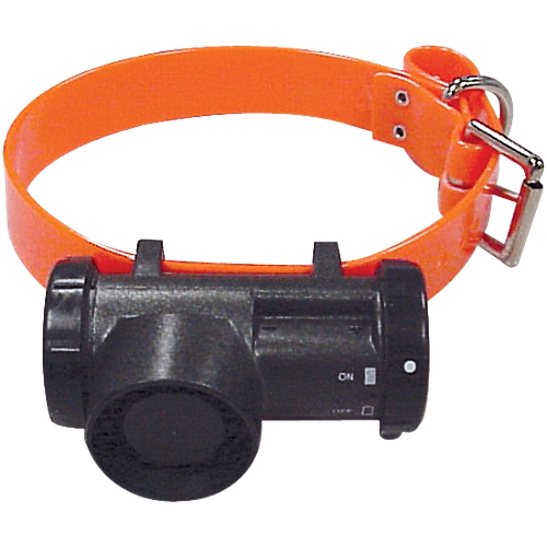 Sport dog collars