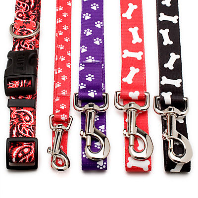 styles of dog collars